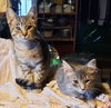 Gunther - Photo 3