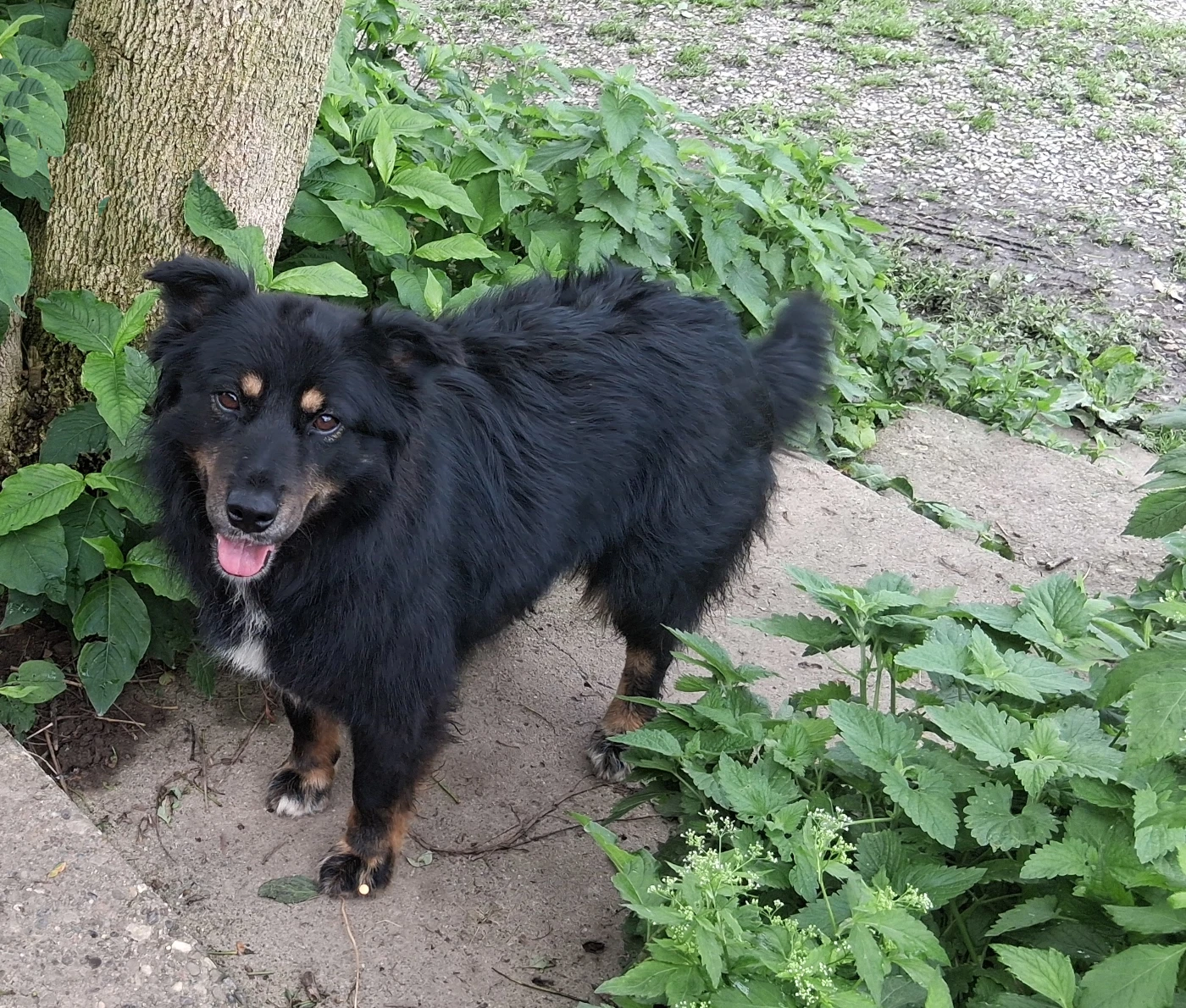 Rita