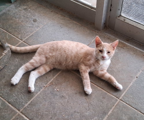 Photo 6 of Jillie