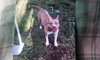 Athena ~ Courtesy Post - Photo 2