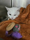 Charlie - Photo 1