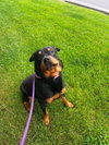 Freya - Photo 1