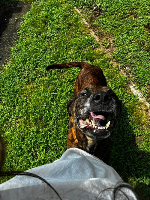 Molly photo 2