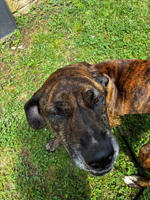 Molly photo 3