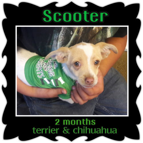 Scooters