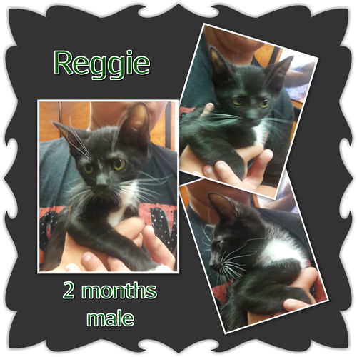 Reggie