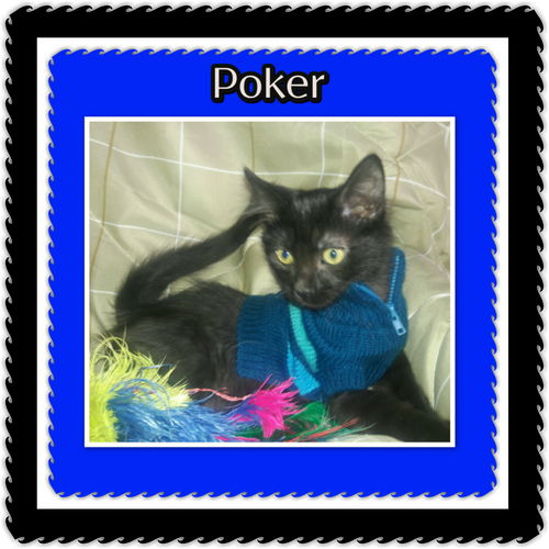 Poker