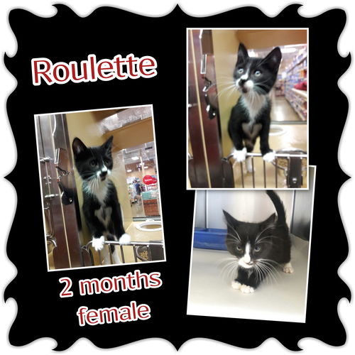 Roulette