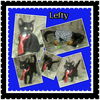 Lefty