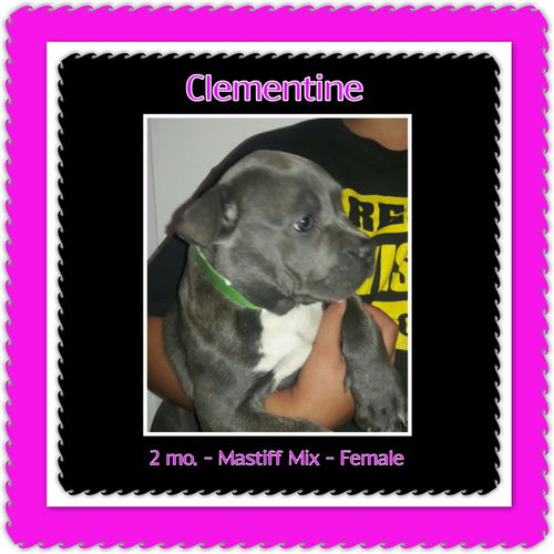 Clementine