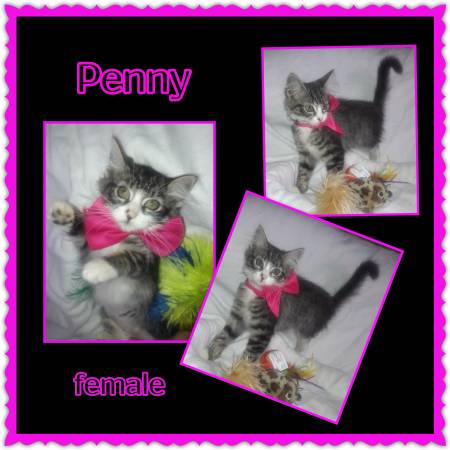 Penny