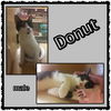 Donut