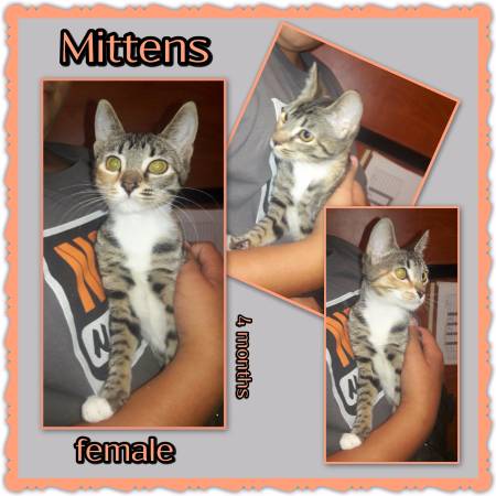 Mittens