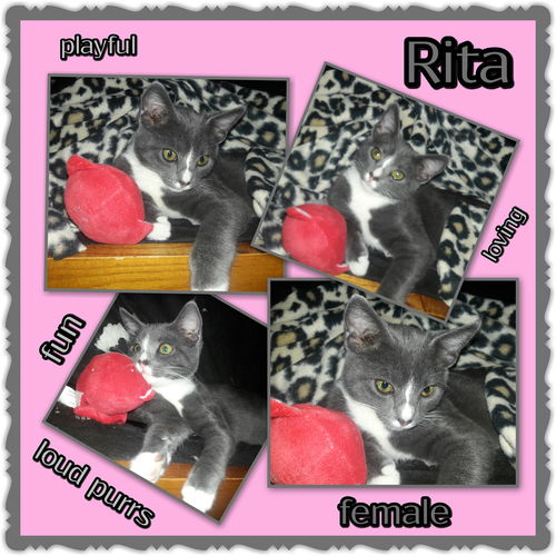 Rita