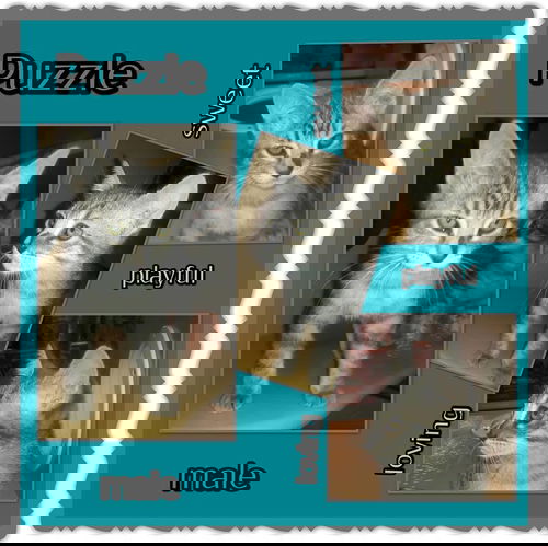 Puzzle