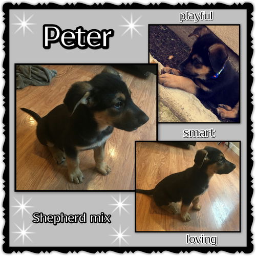 Peter