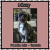 Missy