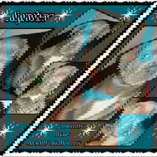 Jupiter