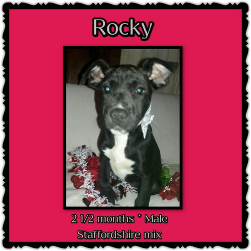 Rocky
