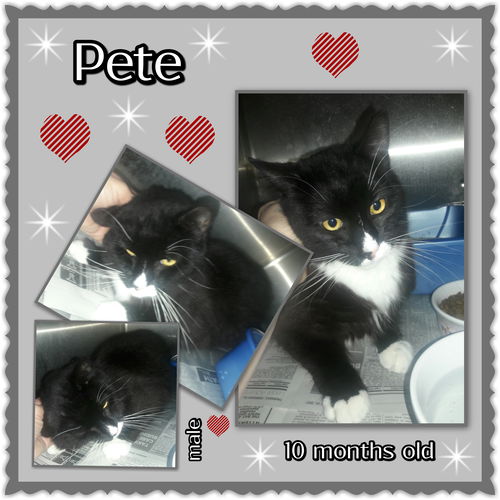 Pete