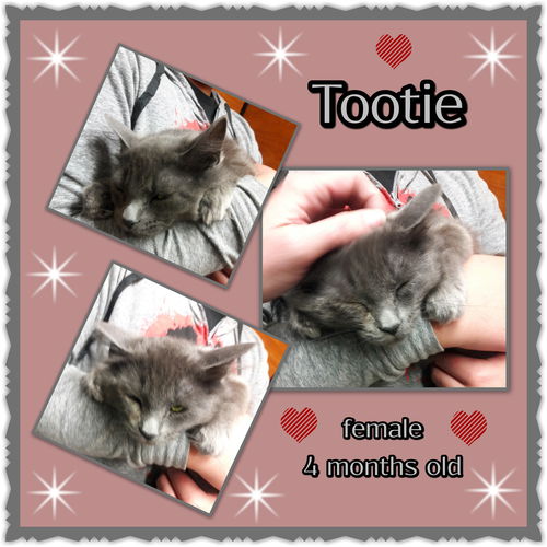 Tootie