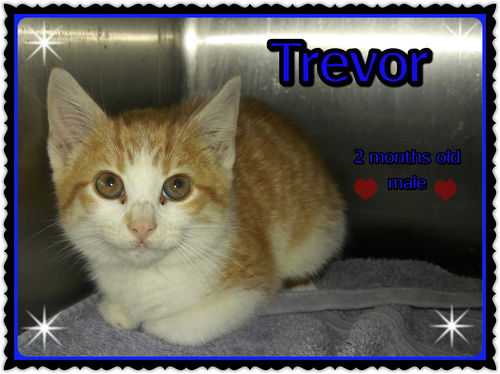 Trevor