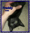 Freddy II