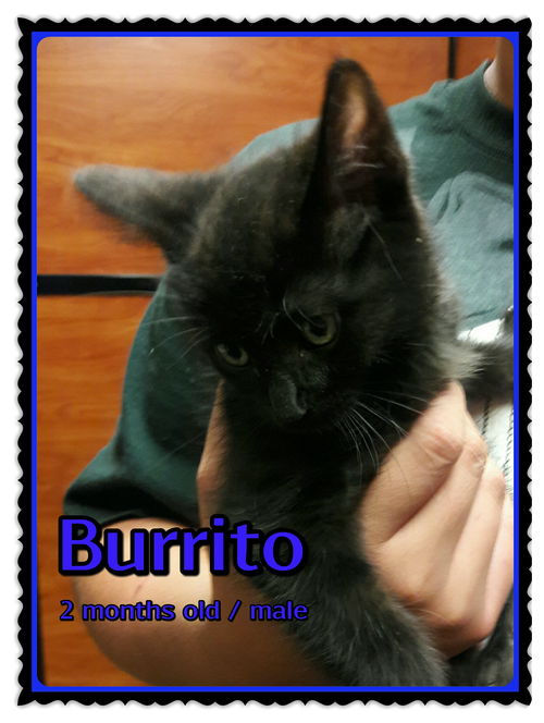 Burrito