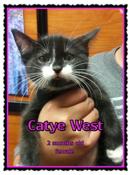 Catye West