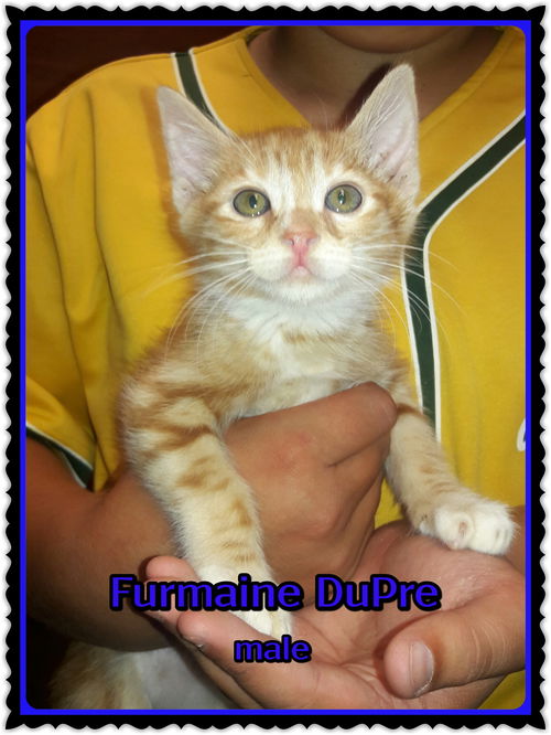 Furmaine DuPre