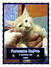 Furmaine DuPre
