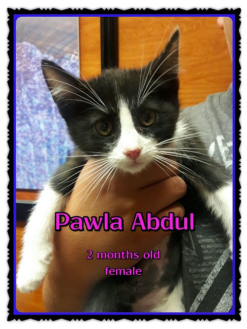Pawla Abdul