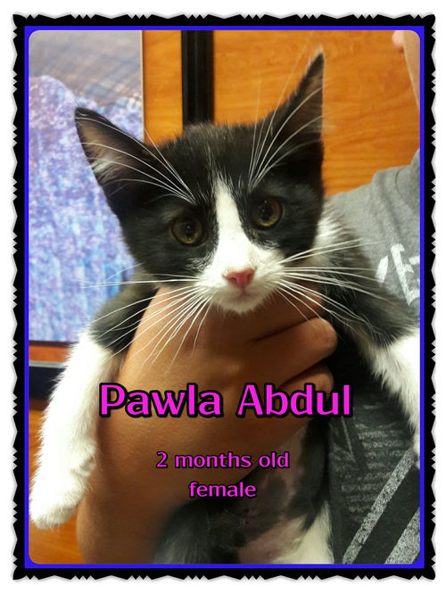 Pawla Abdul