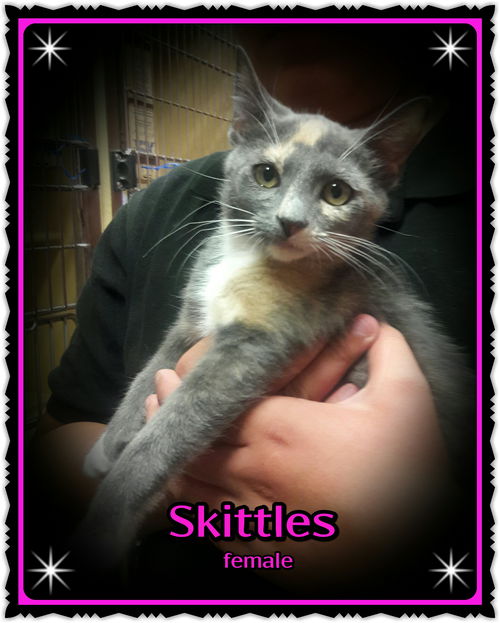 Skittle