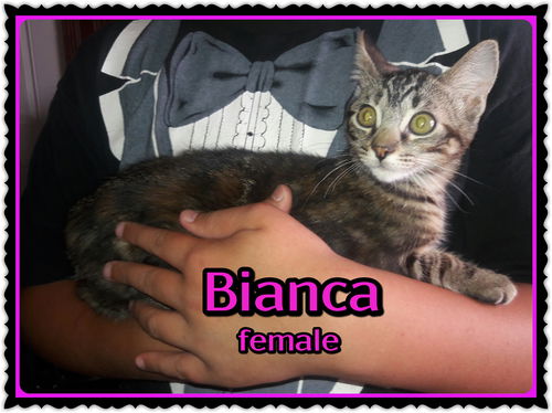 Bianca