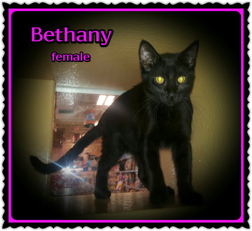 Bethany