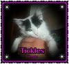 Tickles