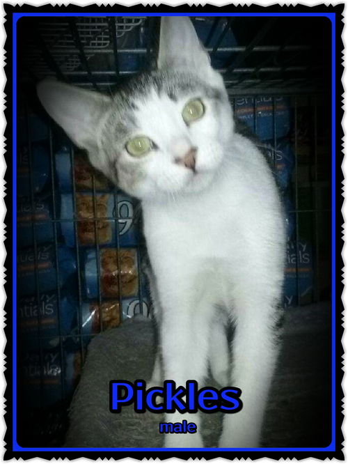 Pickles
