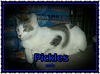 Pickles