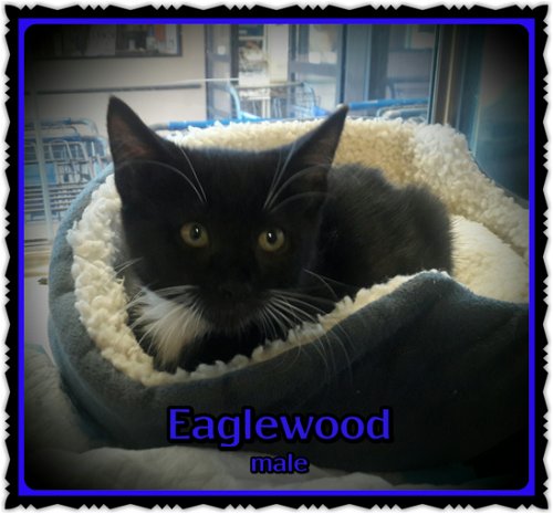 Eaglewood
