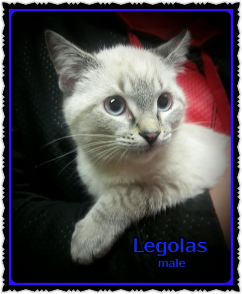 Legolas