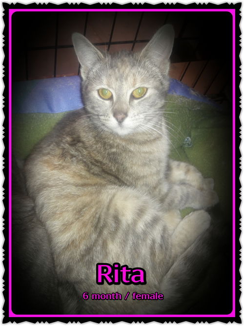 Rita