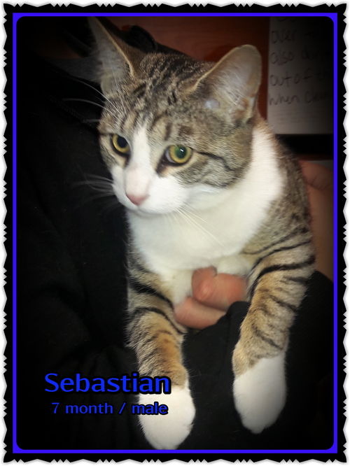 Sebastian