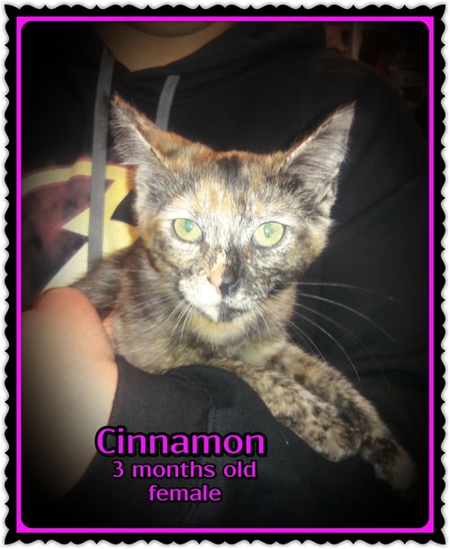 Cinnamon