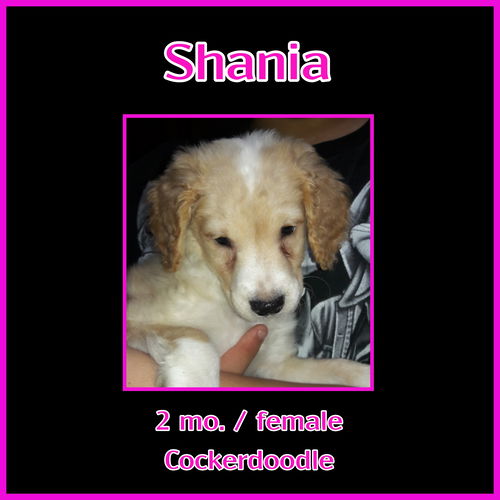 Shania