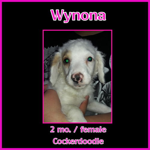 Wynona