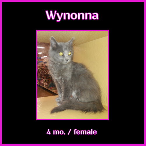 Wynonna