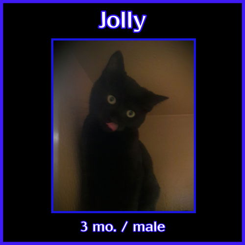 Jolly