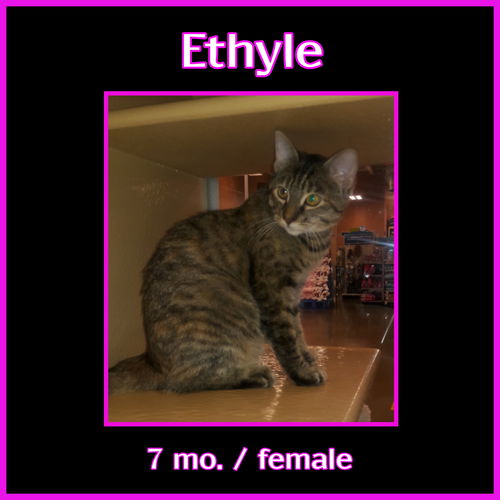 Ethyle