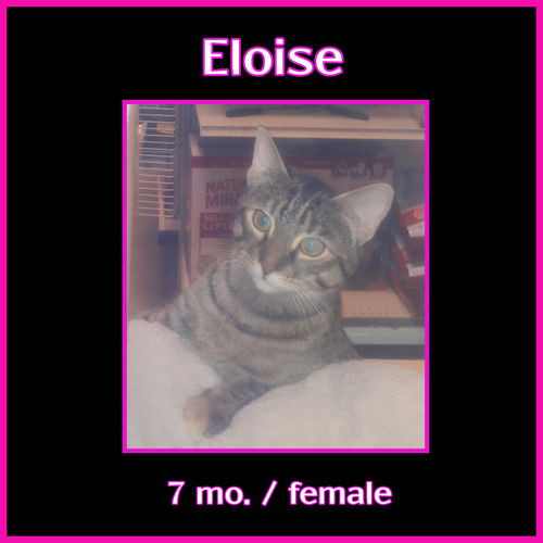 Eloise